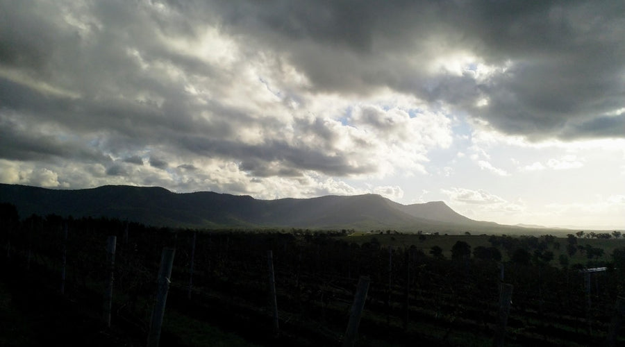 What's with all the Czech and Australian wine?